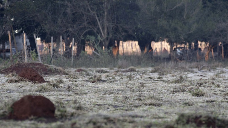 Novas ondas de frio no país derrubarão temperaturas nas próximas semanas 1