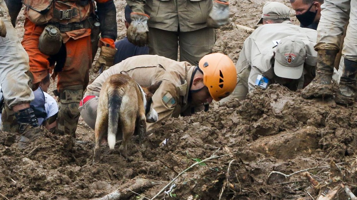 Mortes provocadas pela chuva em Petrópolis chegam a 120 1