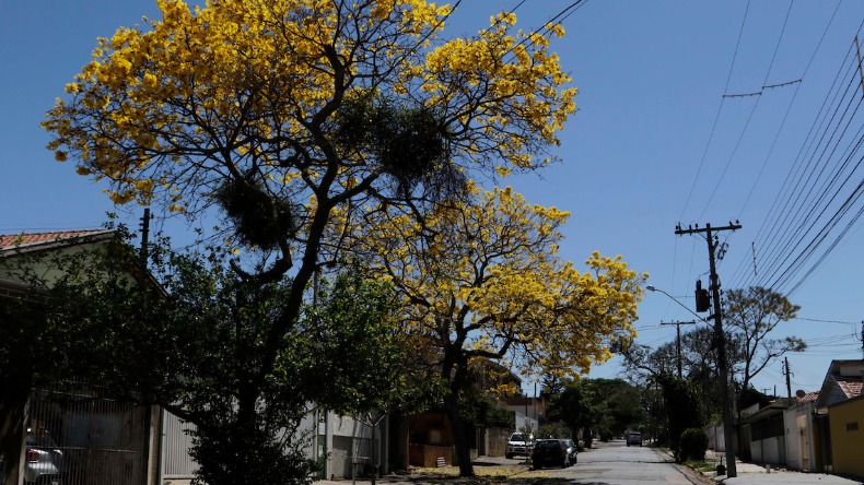 Sexta-feira terá menos nebulosidade e temperaturas em elevação 1