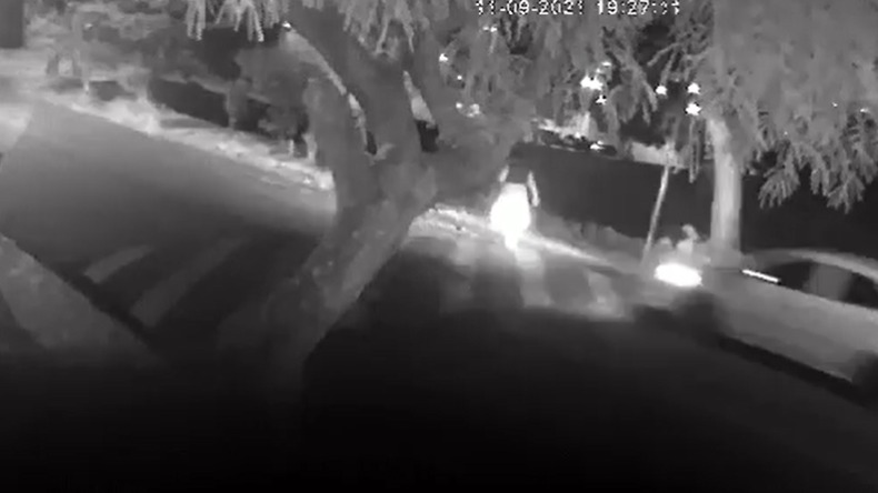 Vídeo: mulher é atropelada e motorista foge sem prestar socorro 1