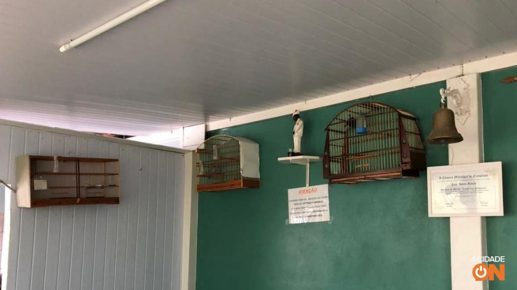 Aves foram encontradas em cativeiro dentro de uma residência (Foto: Divulgação Polícia Ambiental)