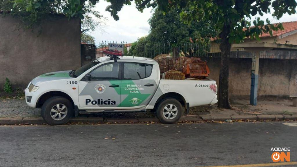 Aves foram encontradas em cativeiro dentro de uma residência (Foto: Divulgação Polícia Ambiental)