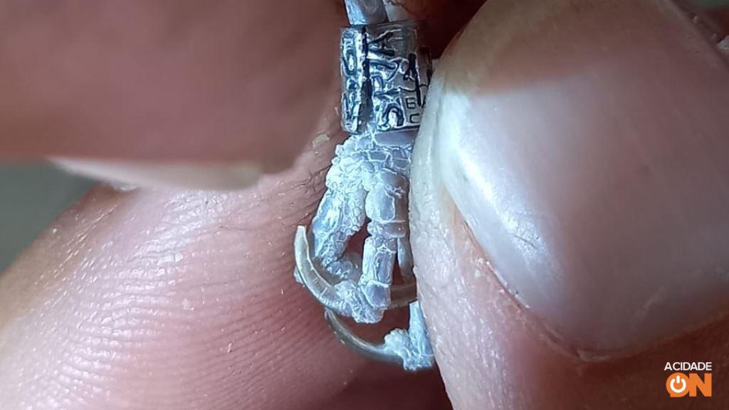 Aves foram encontradas em cativeiro dentro de uma residência (Foto: Divulgação Polícia Ambiental)